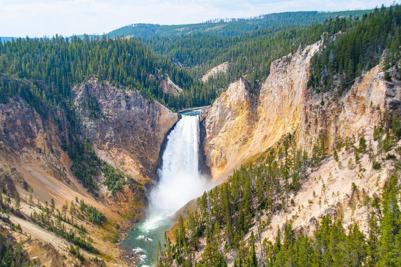 Magnificent Eight — 5