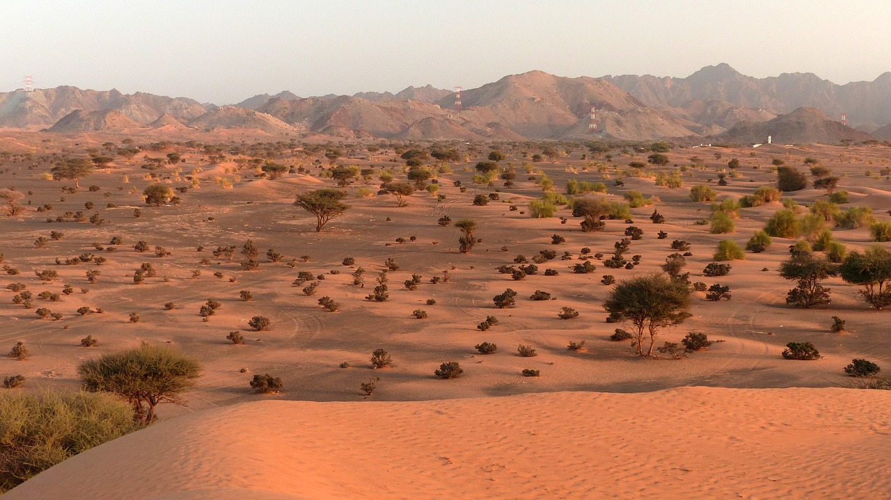 Alla scoperta dell'Oman - 6 Days / 5 Nights — 8