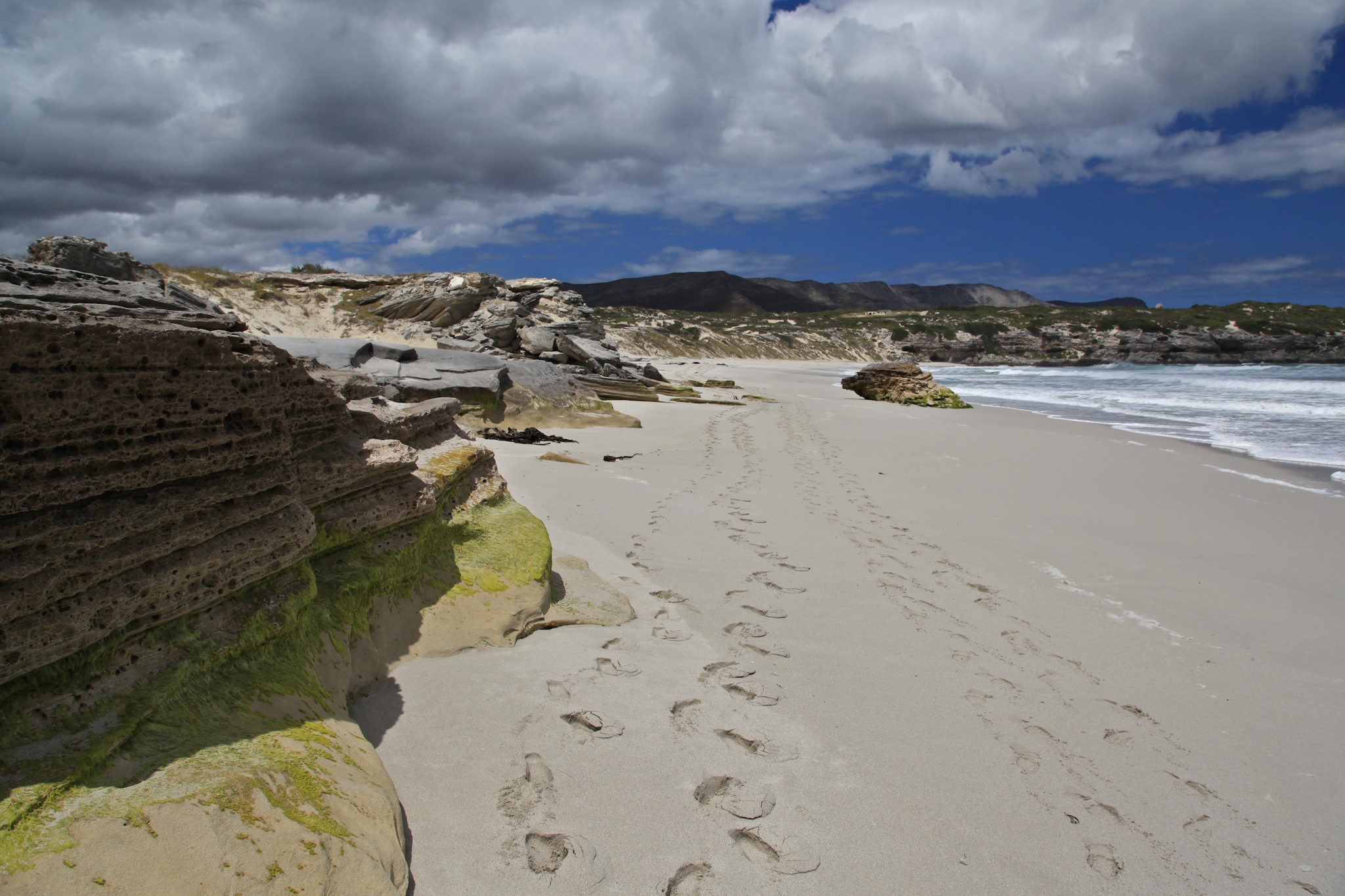 Cape Town - Grootbos - Stellenbosch - Panorama Route - Kruger — 14