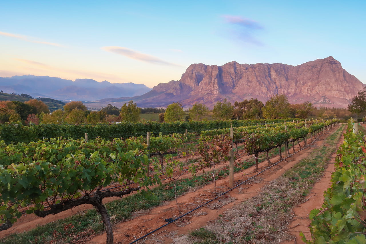 Winelands and Garden Route — 8