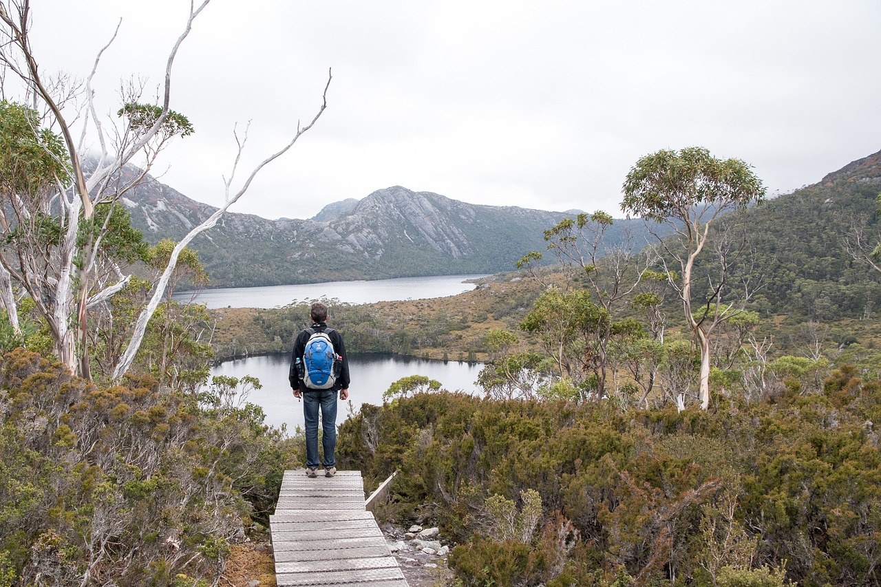 Drive Tasmania West Coast — 6