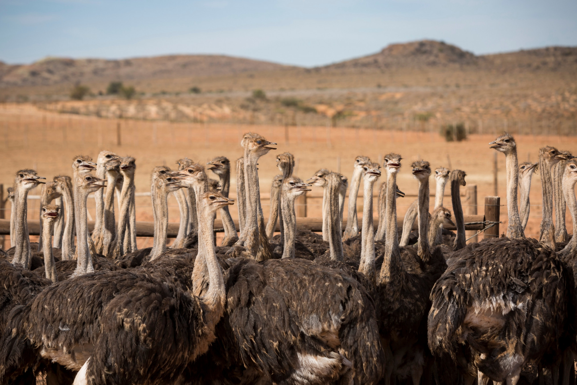 Winelands and Garden Route — 6