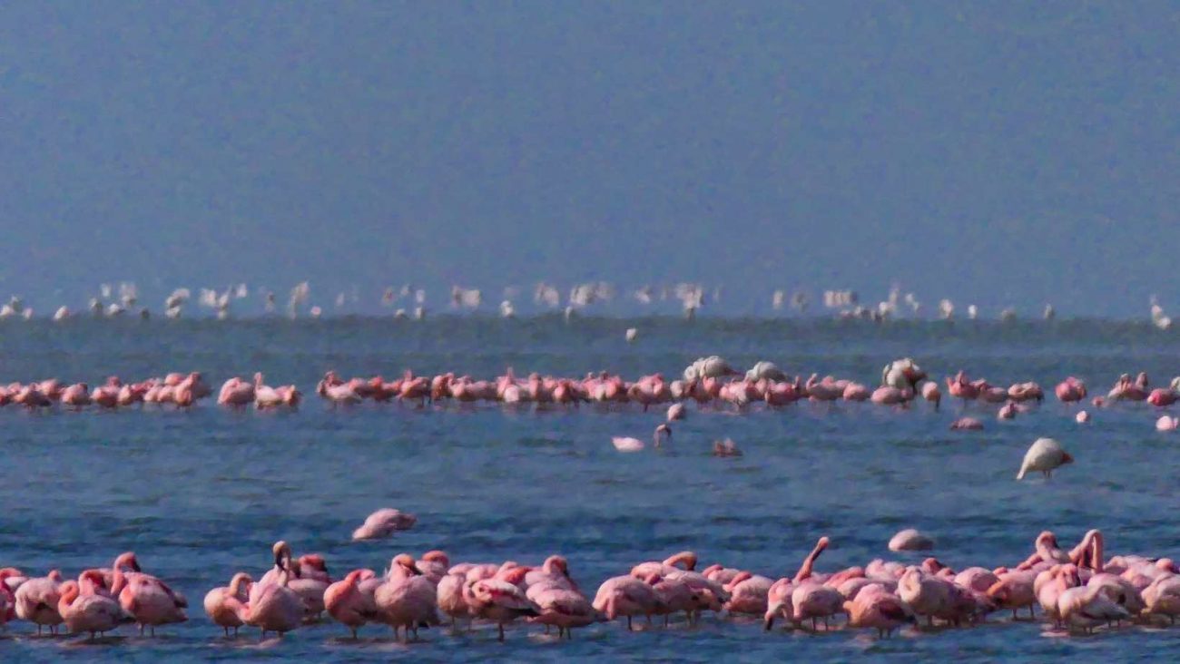 Namibia: Deserts and rivers — 8