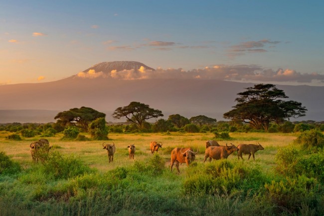 Tsavo East Park, Amboseli & Taita Hills
