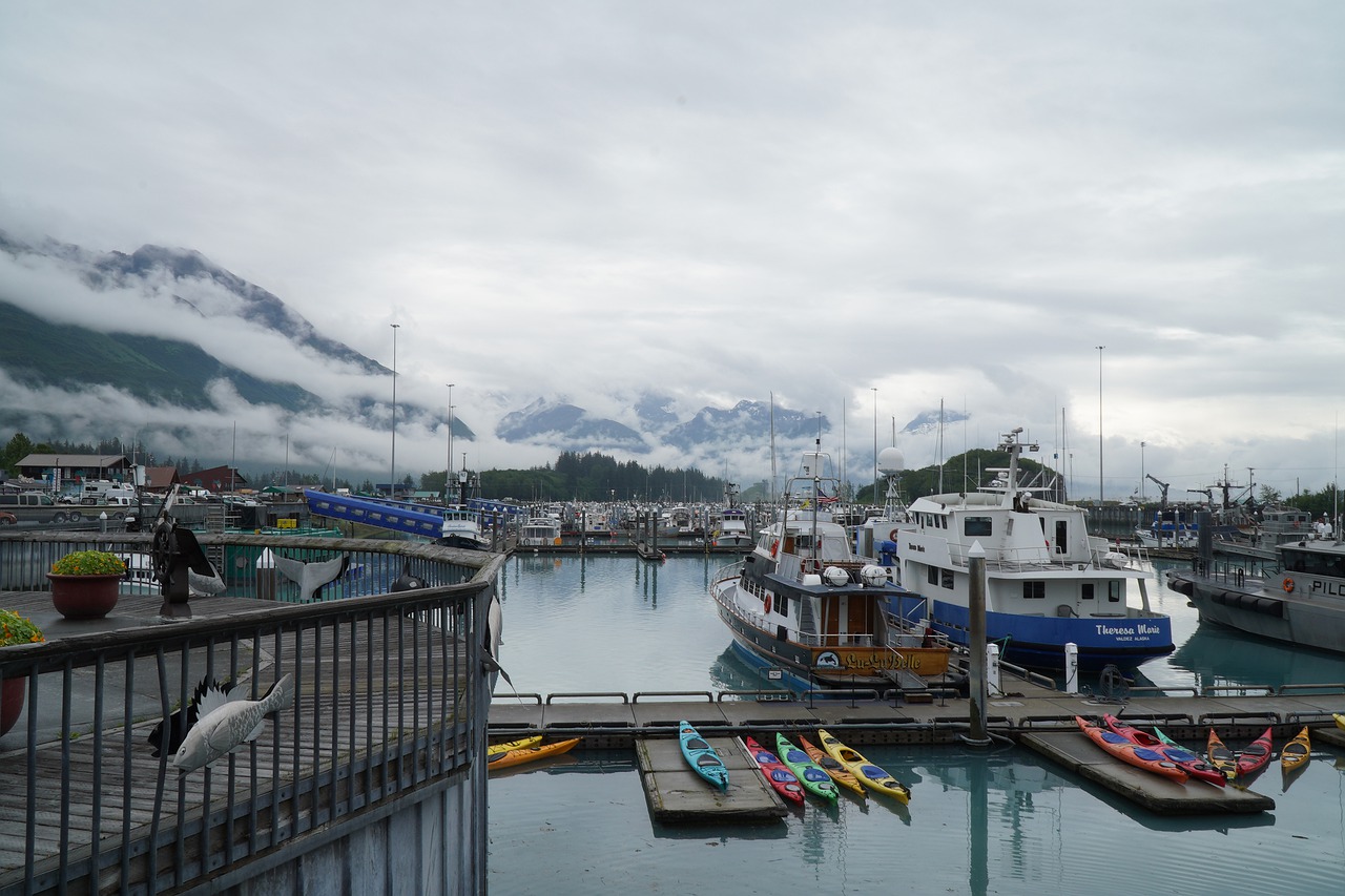 PAESAGGI E NATURA D'ALASKA — 8