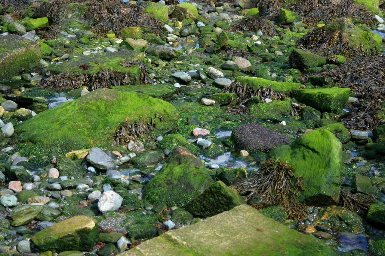 New England - Scenic Roads of the South — 7