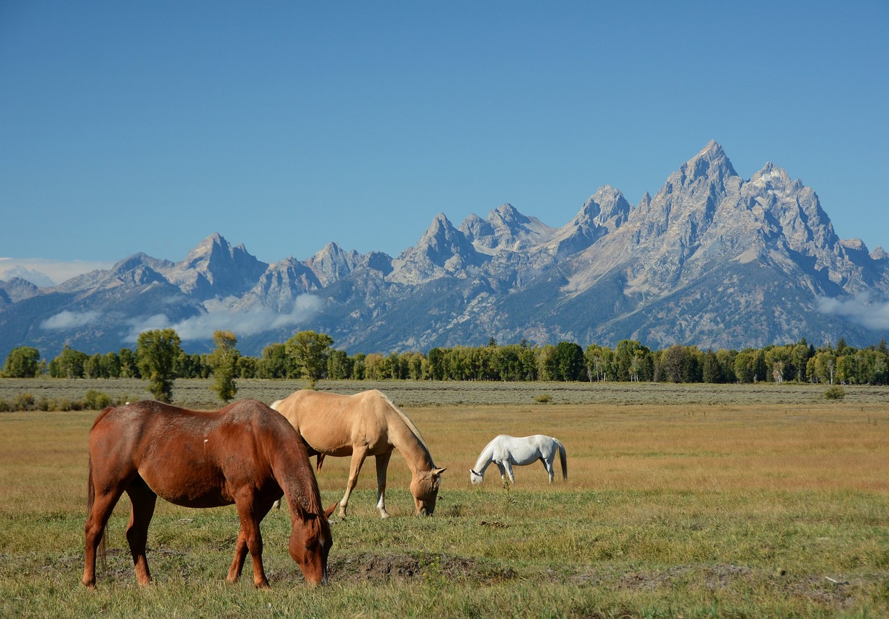 Great American West - From Denver to Yellowstone through Wyoming — 7