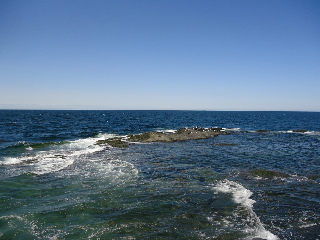CANADA EAST - Quebec and Ontario: from Montreal to Toronto via Gaspesie