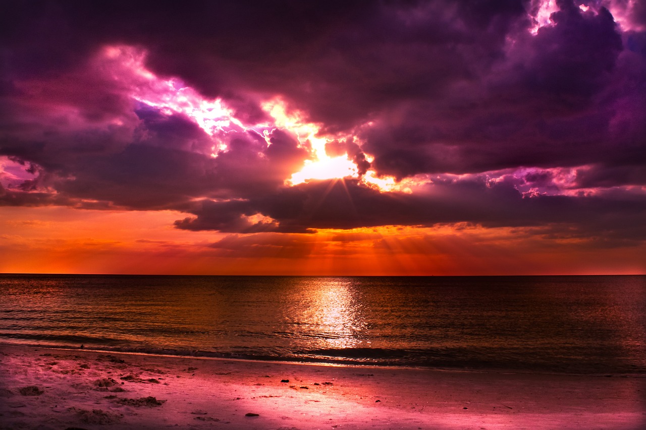 The Real Florida — 6