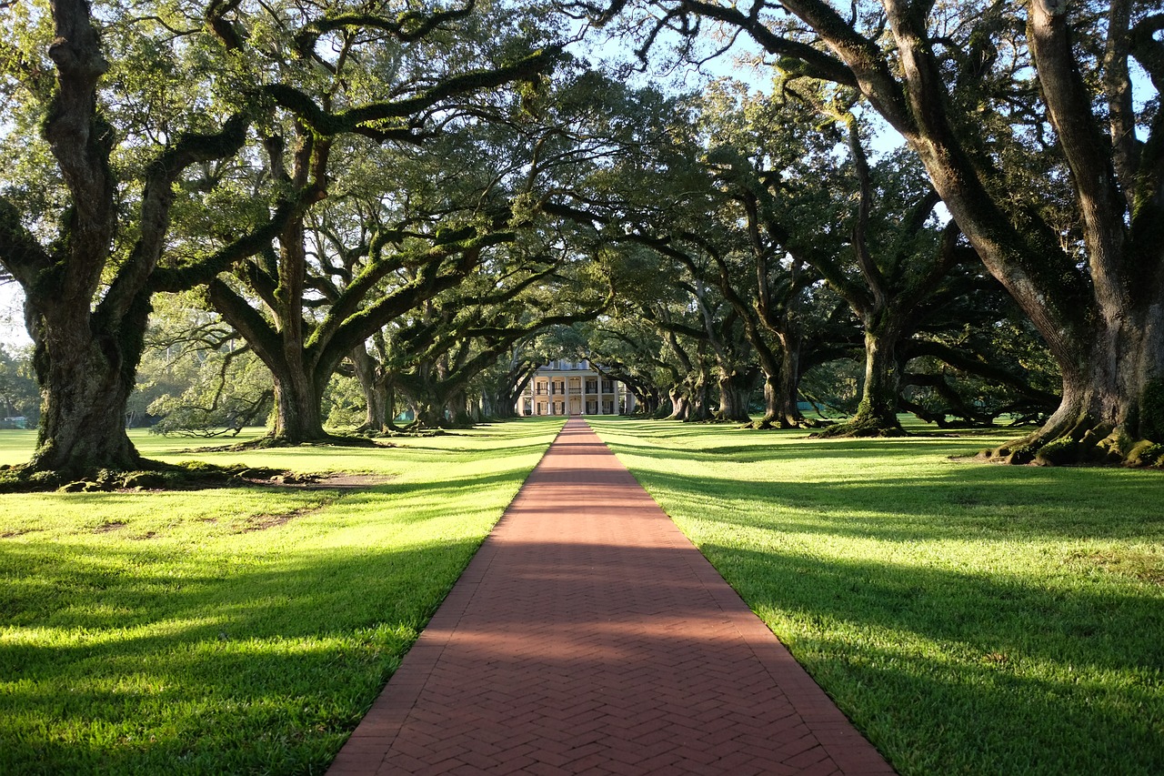 Travel South: the Best of Louisiana — 6