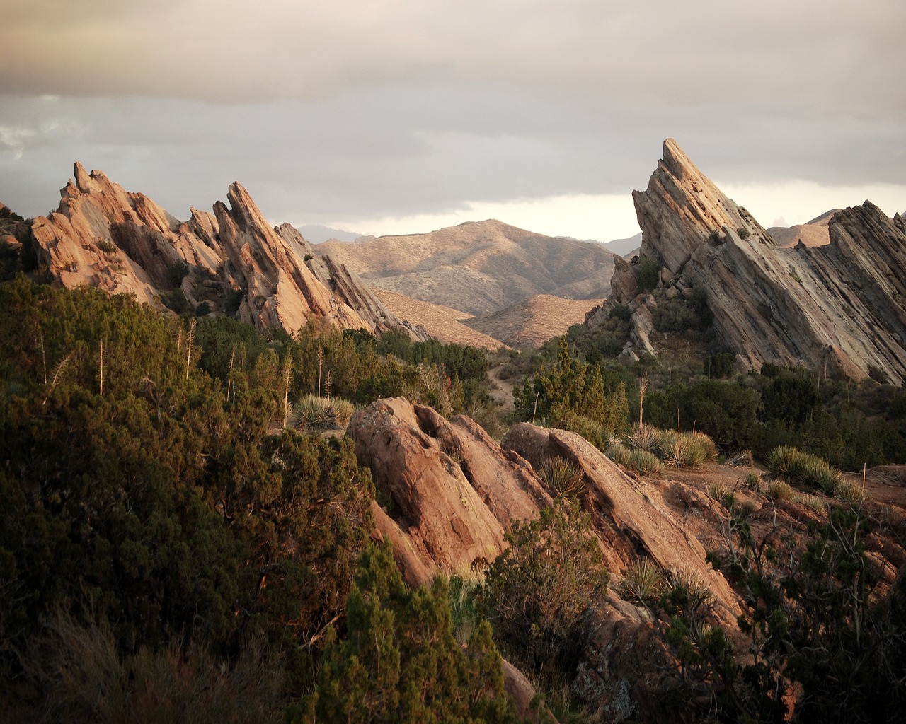 Gold Experience - Summer version — 15