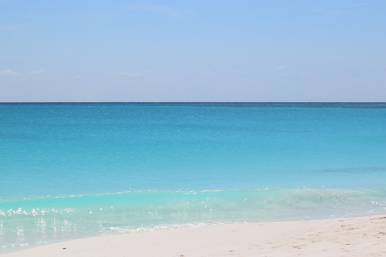 MSC Crociere - MSC SEASCAPE - Miami-Ocean Cay Marine Reserve-Nassau-Falmouth-Grand Cayman-Miami