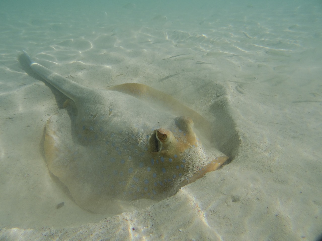 From Perth to Exmouth: Kalbarri, Monkey Mia, Coral Bay, Ningaloo Reef, Exmouth — 8