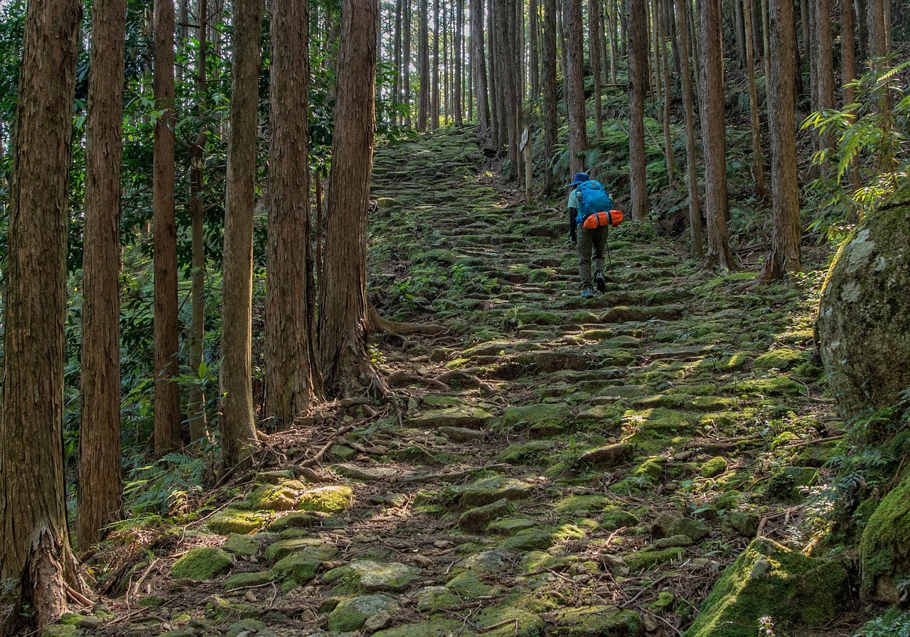 Explora journeys - A Journey of Ancient Roots & Colourful Charm