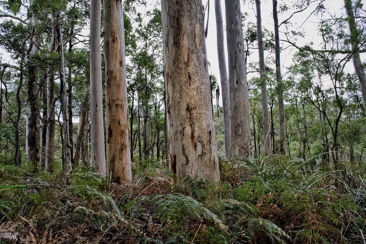 South West drive -  6 giorni/5 notti  — 7