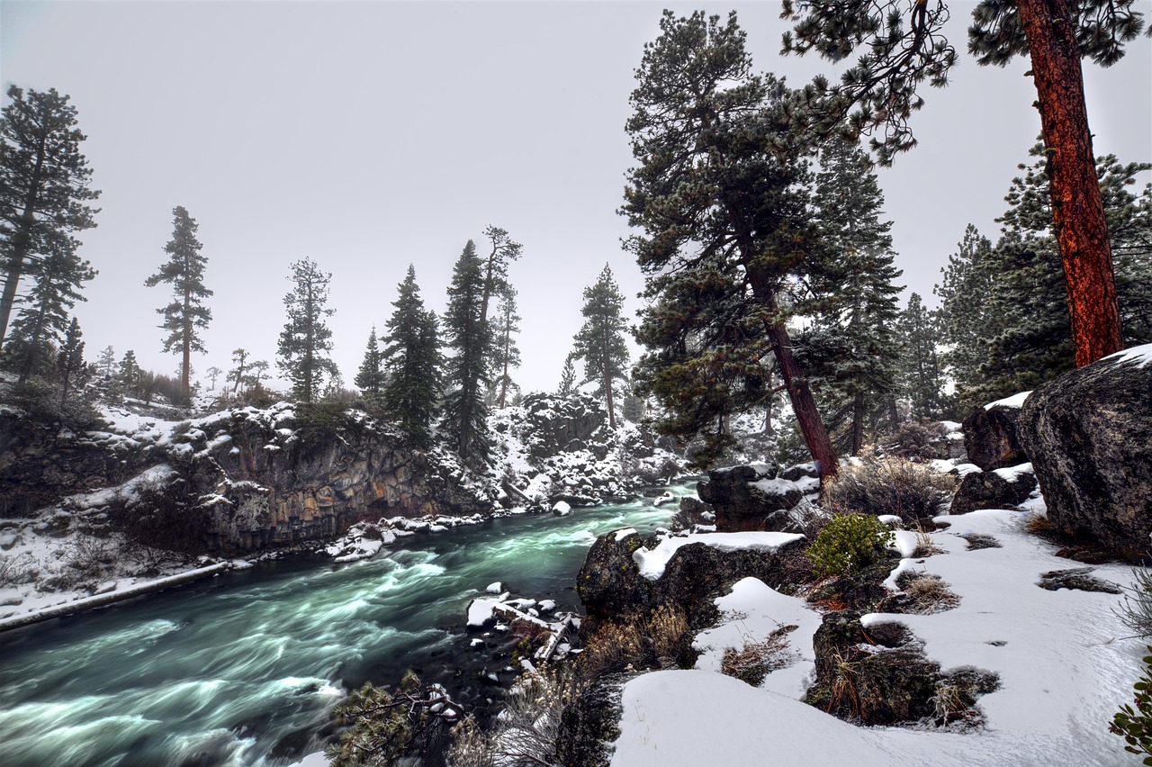 Oregon and Calfifornia by camper — 8