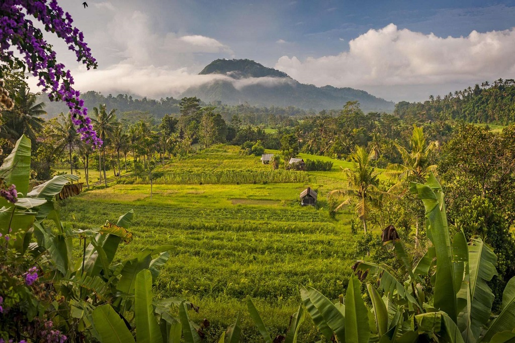 Bali: Hidden Treasures (Stay in Charming Hotels)