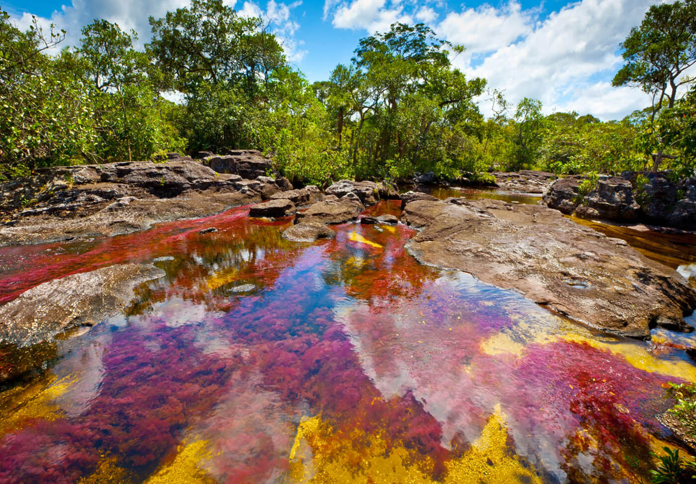 CANO CRISTALES da Bogotà -  3 giorni / 2 notti **VACCINAZIONE FEBBRE GIALLA OBBLIGATORIA** - La Manigua Lodge