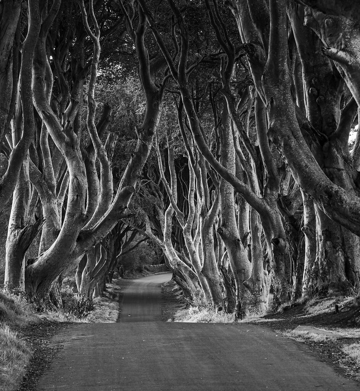 Grand Tour of Ireland