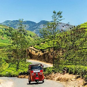 Tour Nature in Serendib - 9 days/8 nights private tour with Italian speaking guide — 6