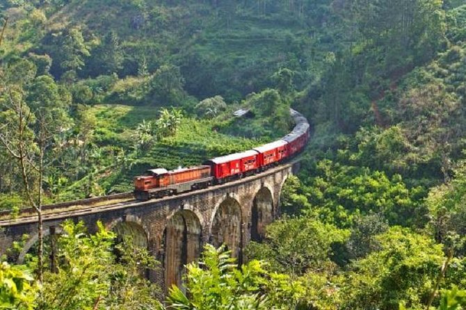 Tour Classic Sri Lanka Winter - 8 days/7 nights private tour with Italian speaking guide