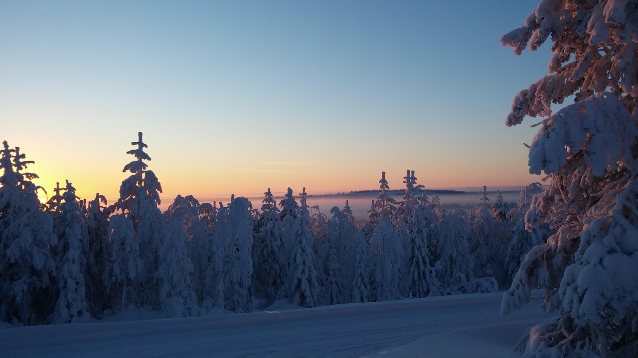 AI CONFINI DELL'ARTICO — 10