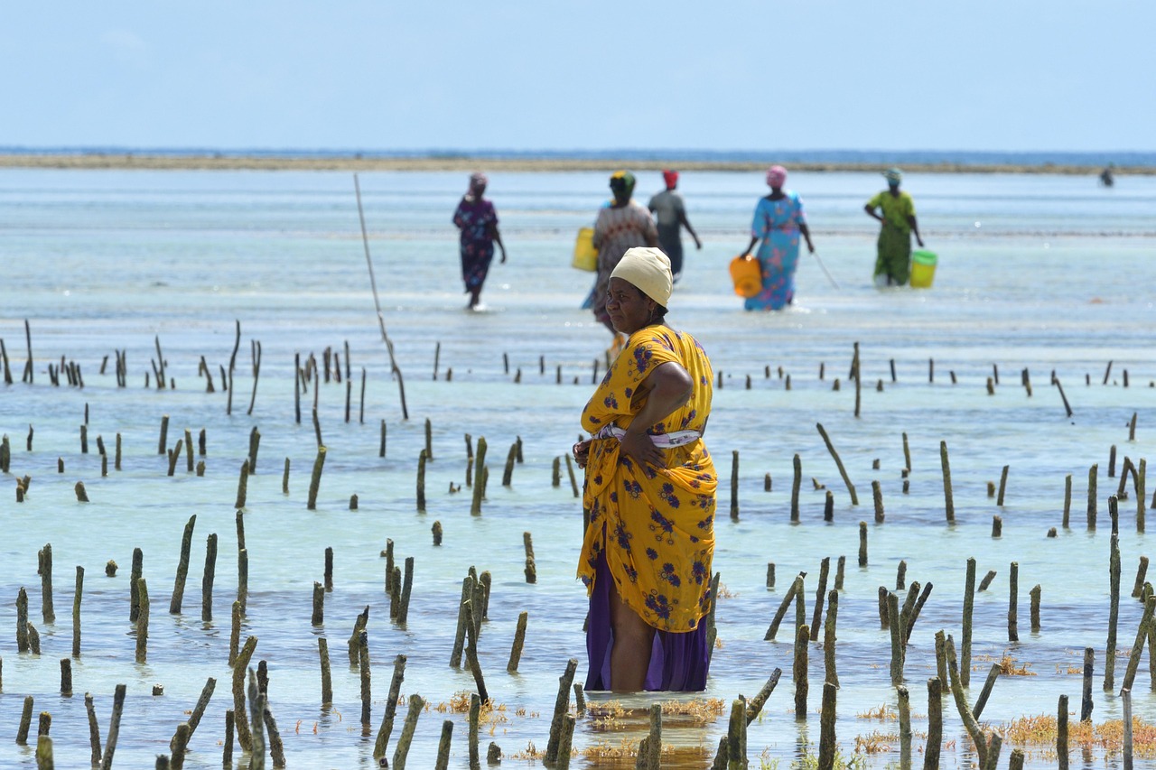 Select: Zanzibar — 12