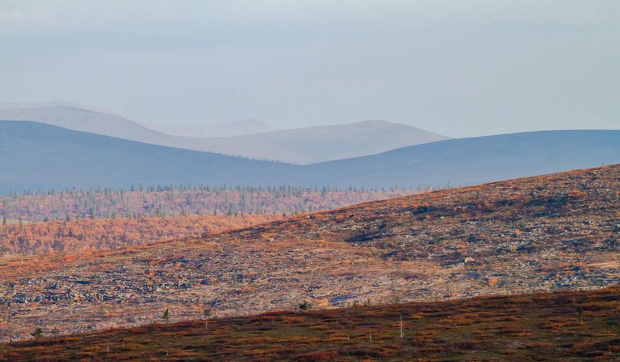 TERRE LAPPONI, CAPO NORD E LOFOTEN — 16
