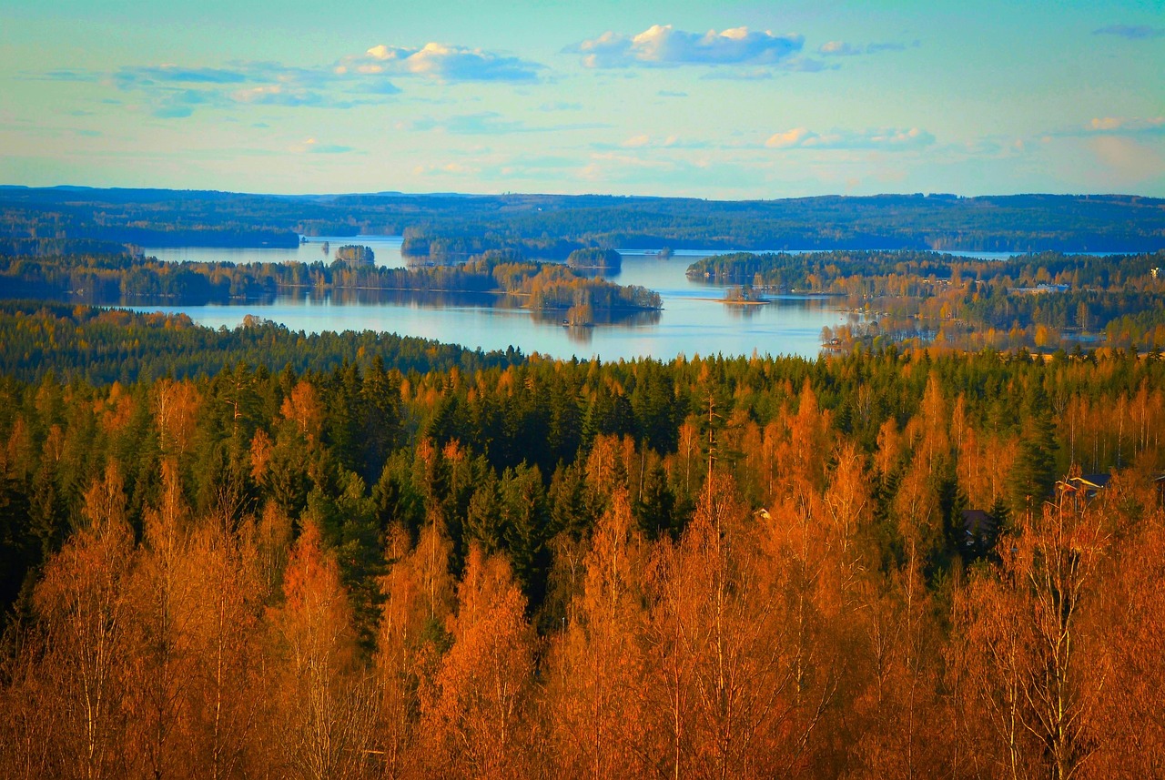 IL CUORE BLU DELLA FINLANDIA — 9