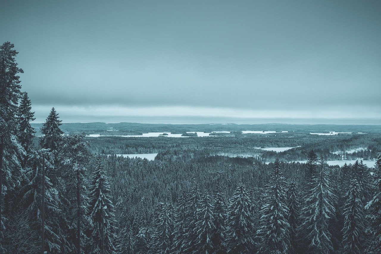 IL CUORE BLU DELLA FINLANDIA — 11