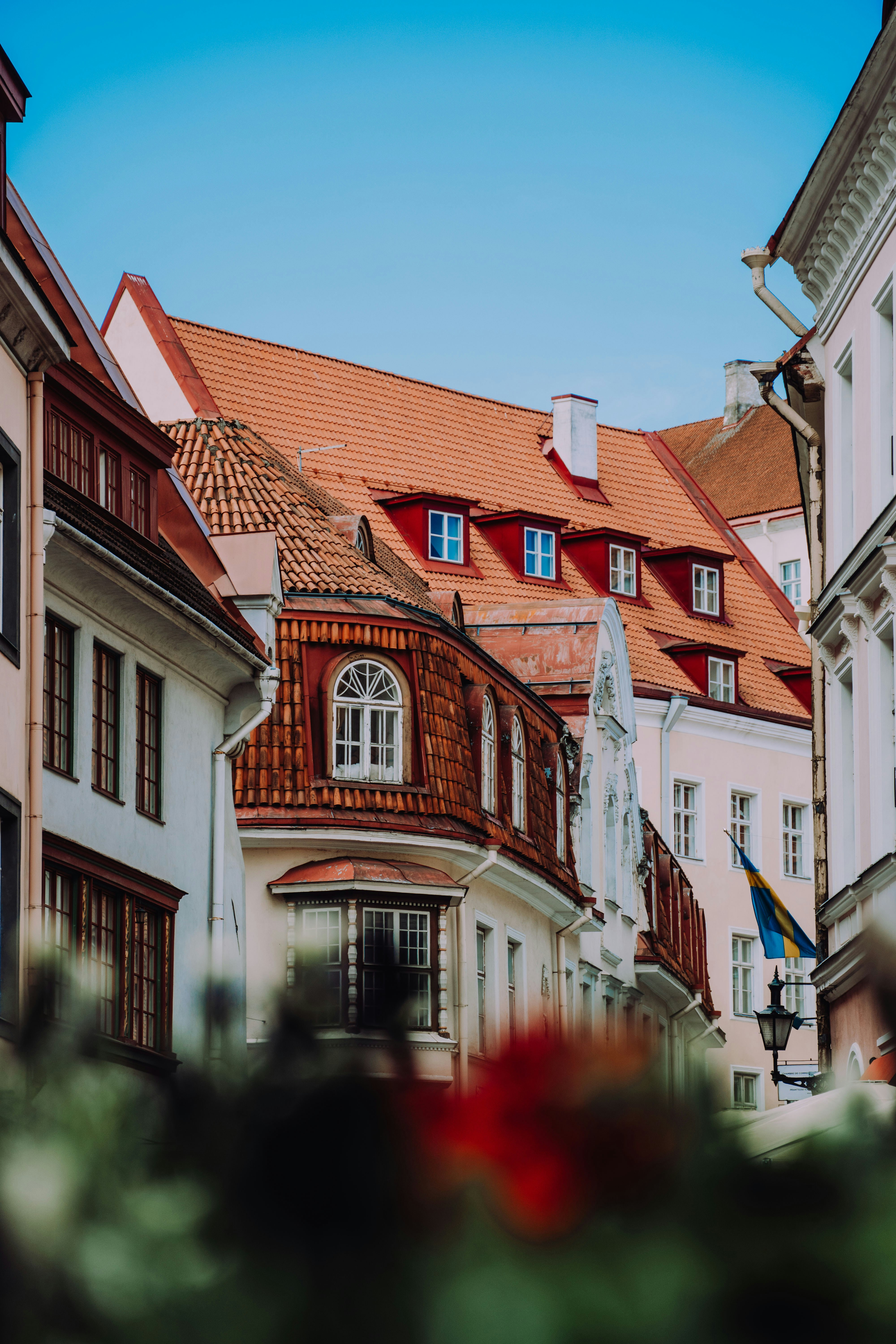 CROCIERA NEL BALTICO — 7