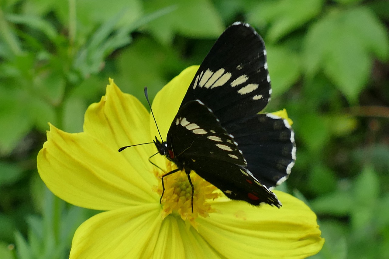 Parcs and beaches of Costa Rica