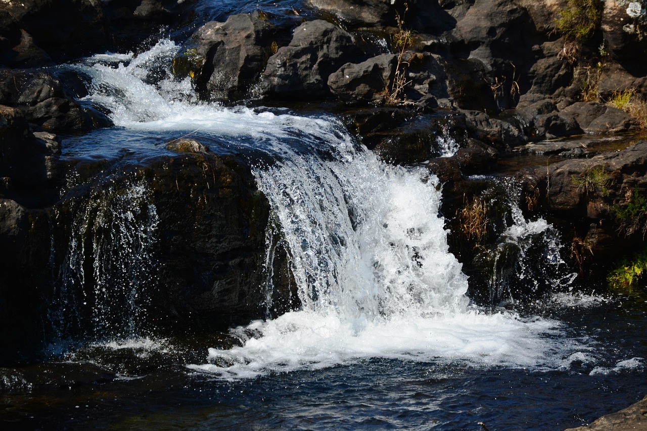 New Year's in South Africa — 7