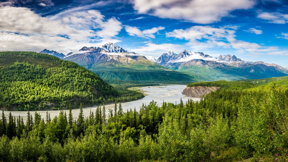 Alaska Wonder