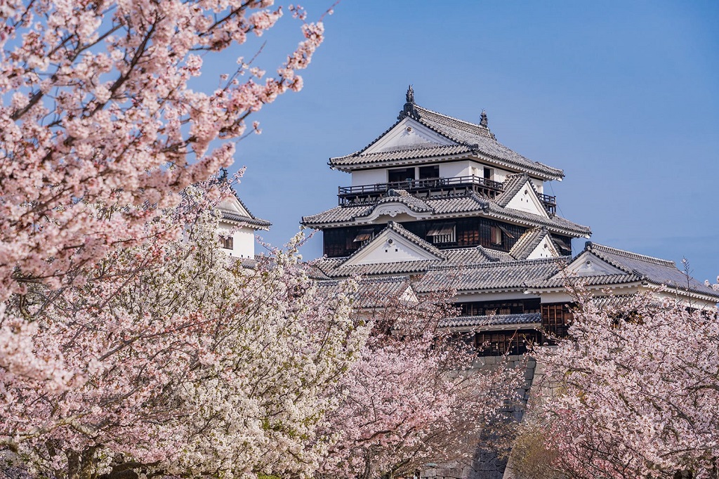 Shikoku castle hopping
