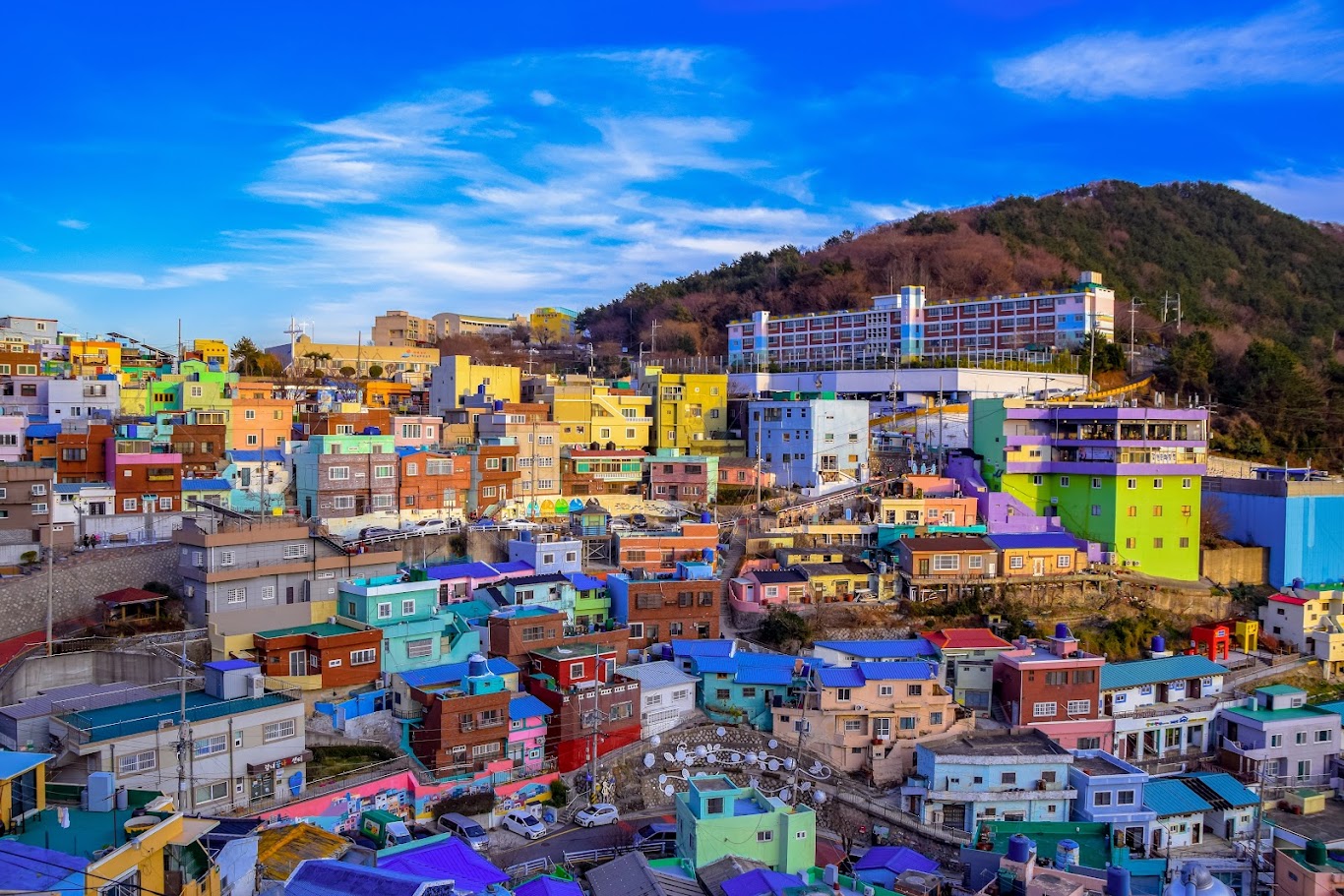 Seoul & Busan