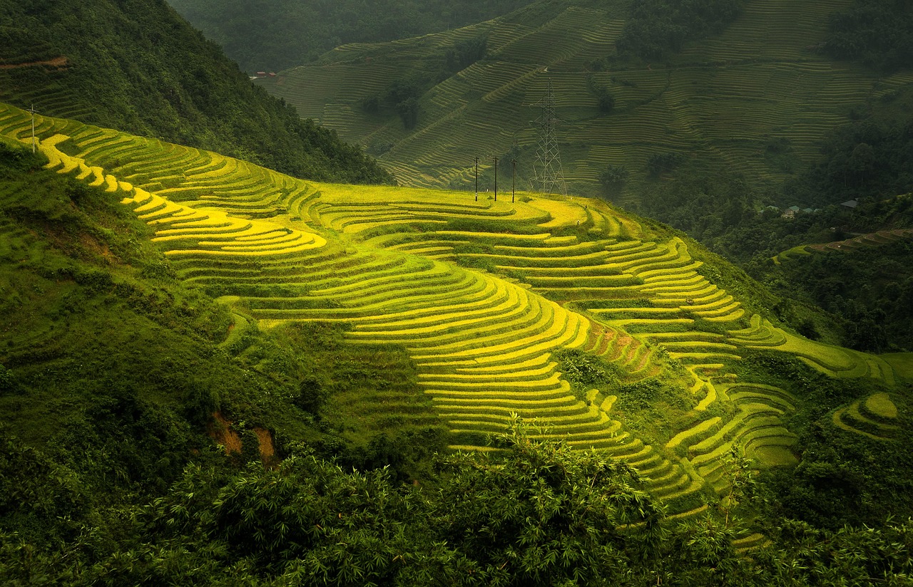 VIETNAM FREE SPIRIT WITH SAPA (SELF GUIDED)