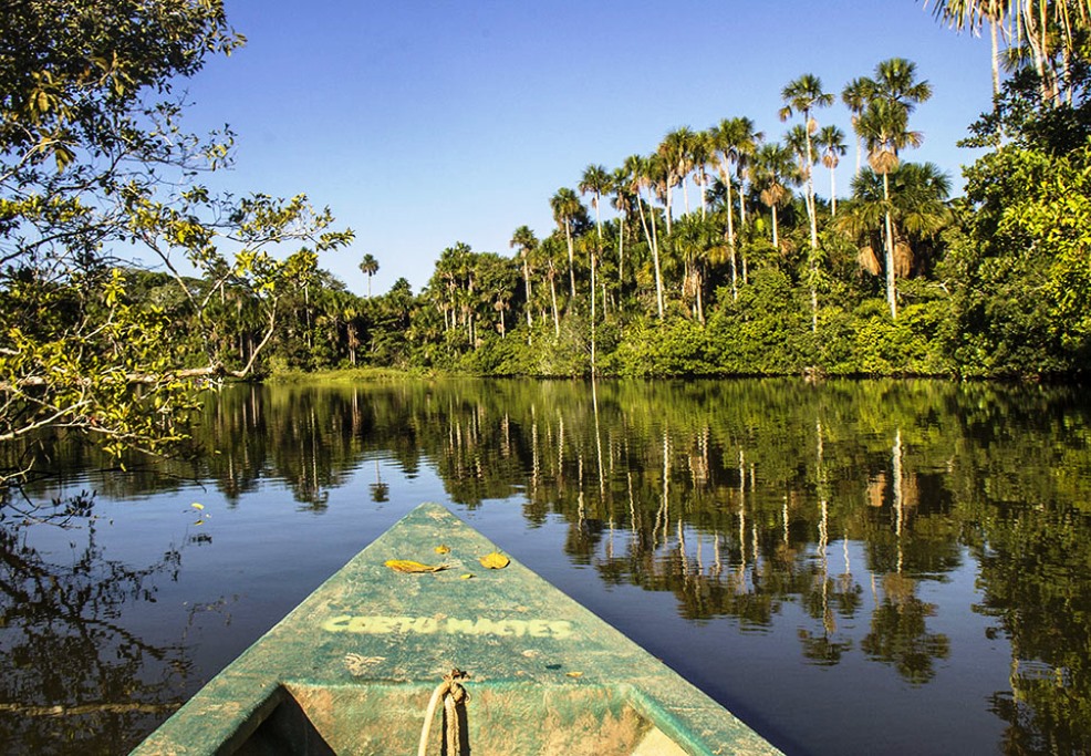Amazon - Tambopata National Park: Corto Maltes Lodge - 3 Days - from Puerto Maldonado