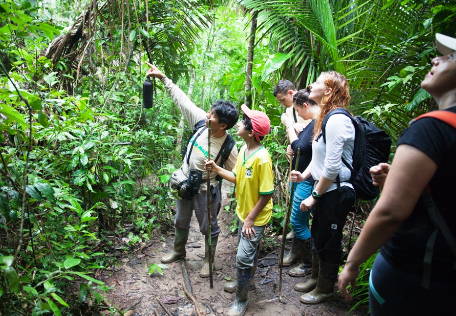 Amazon - Tambopata National Park: Corto Maltes Lodge - 4 Days - from Puerto Maldonado