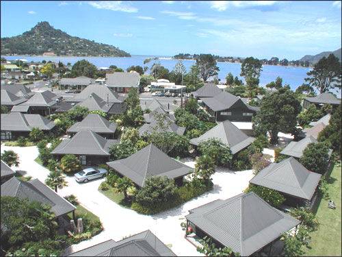 Isola del Nord 4: da Auckland a Wellington in 5 giorni