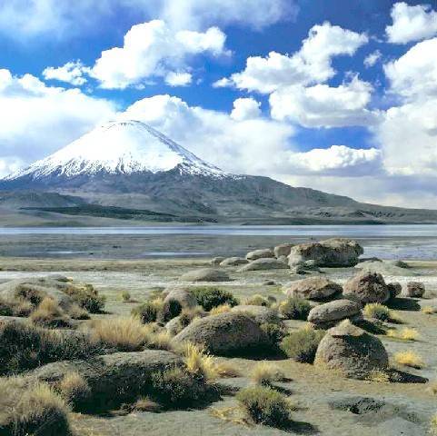 On the road from Arica to Iquique in the Chilean Andean highlands