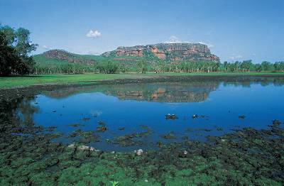 Nature's Way 2 notti