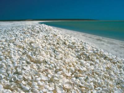 Explore the Coral Coast of Western Australia: from Perth to Ningaloo Reef and back