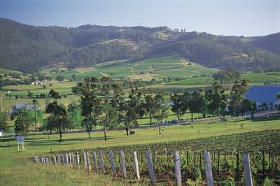 Hunter Valley e Port Stephens