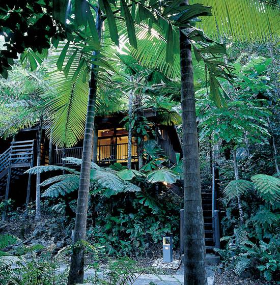 Tropical North - 2 nts Mungumby - 1 nt Daintree — 5