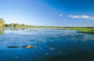 Nature's Way 4 notti