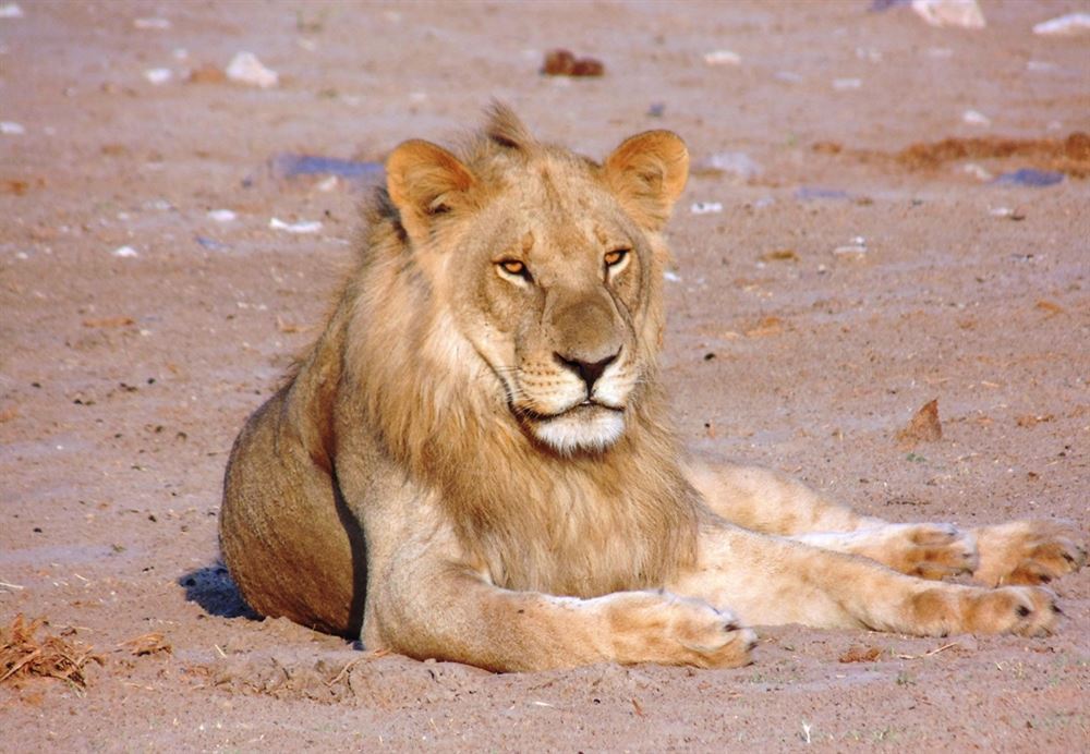 Botswana