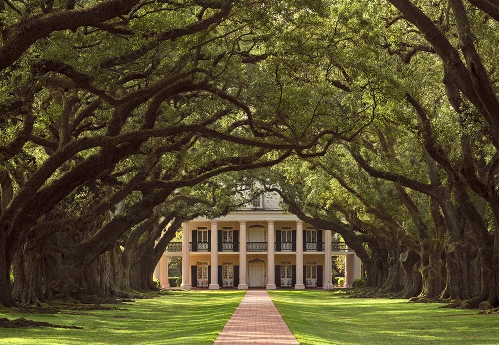 Oak Alley Plantation