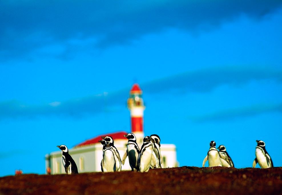 CROCIERA AUSTRALIS "ESPLORATORI IN PATAGONIA" - imbarco: 18h00 - sbarco:12h30 - da Ushuaia