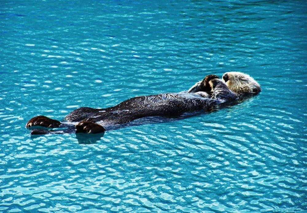 Tours 149 - Alaska By Rail Tour — 5